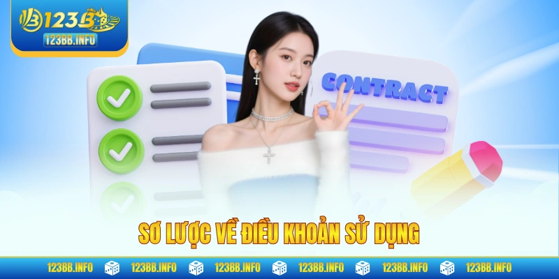 Sơ lược về điều khoản sử dụng
